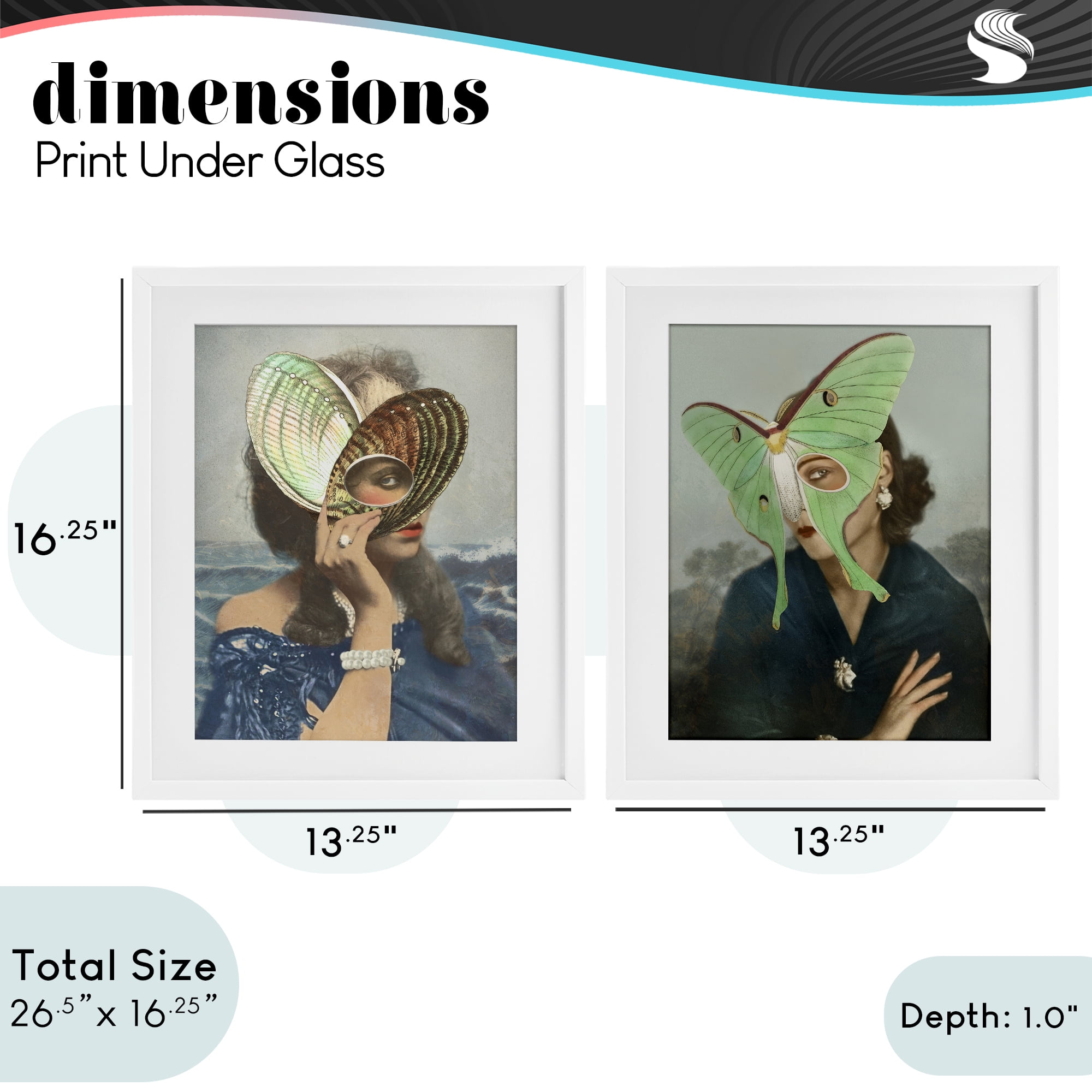 Stupell Industries Naturalist Women Portraits 2 Piece White Framed Print Under Glass Set, design by Victoria Barnes