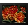 thumbnail image 2 of Perry, Rachel 14x12 Black Modern Framed Museum Art Print Titled - Old World Tulips I, 2 of 5
