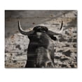 thumbnail image 3 of Designart 'Black and White Portrait Of A Spanish Bull II' Farmhouse Print on Natural Pine Wood, 3 of 5