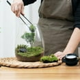thumbnail image 6 of Desktop Glass Terrarium with Grow Light (H:7.8" D:6.7"), for Succulent, Moss, Miniature Gardening Landscape, Betta Fish Tank, Indoor Plant Growth, Office Home Decoration, Plant Lovers Gifts, 6 of 6
