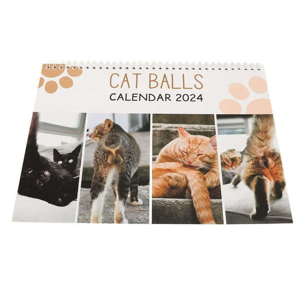 Calendario De Gatos Divertidos 2026 / Planificador De Pared De 12 Meses - España