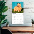 thumbnail image 5 of Cairn Terriers | 2027 12x24" (Hanging) Wall Calendar | Plastic-Free, 5 of 9
