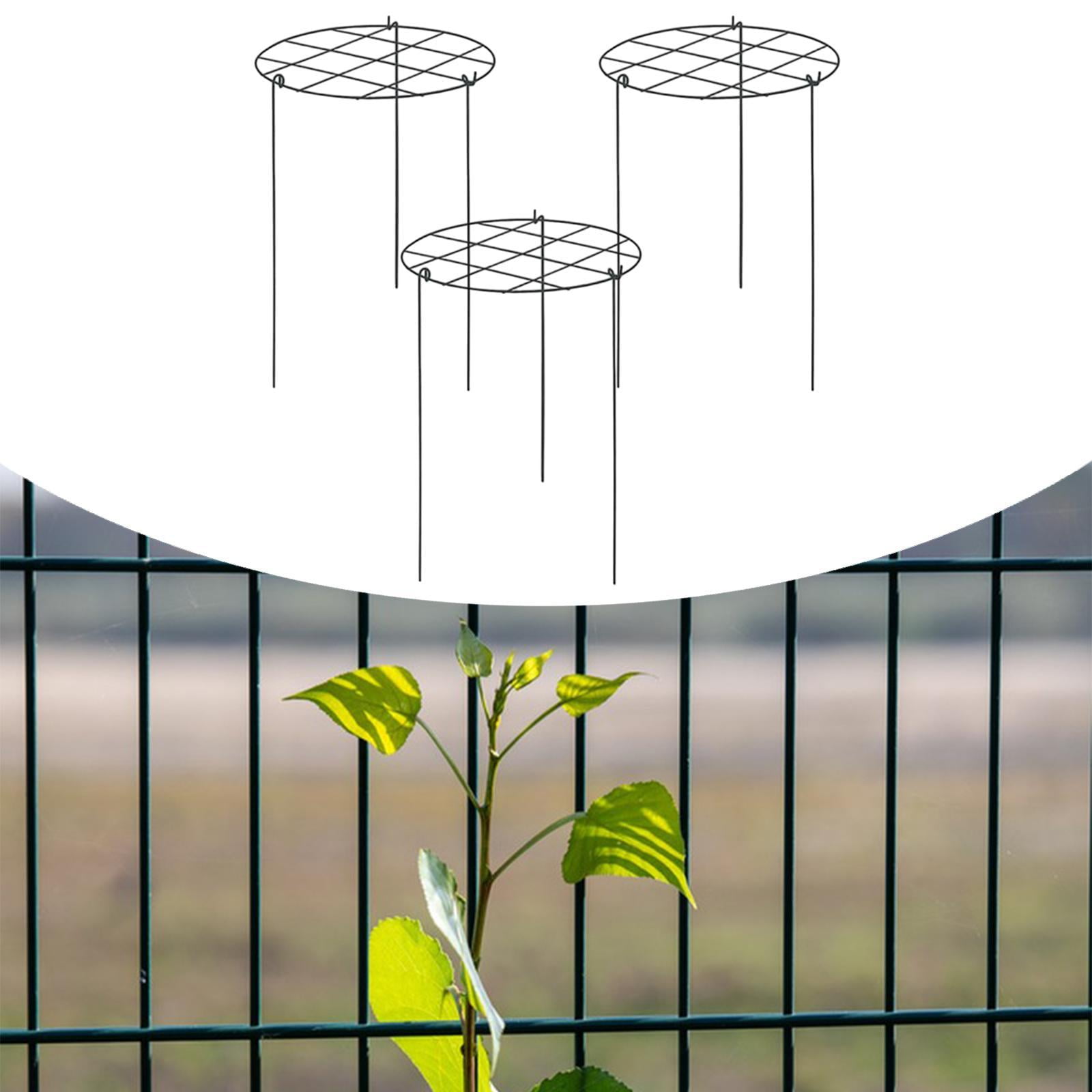 oshhni 3 Pieces Peony Cages and Supports Metal for Hydrangea Vegetables Tall Plants Grids