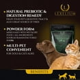 thumbnail image 2 of Lexelium Cat & Dog Prebiotic Digestion Supplement - Helps with Sensitive Stomach & Chronic Diarrhea - Contains Valuable Digestive Enzymes, Fiber & Prebiotics - 200g, 2 of 5