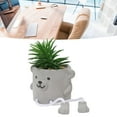 thumbnail image 4 of Planta Suculenta Falsa, Plantas Artificiales En Maceta, Color De Fácil Cuidado, Pierna Colgante Duradera, Detalles Vívidos Para Hogares ANGGREK Otros, 4 of 8