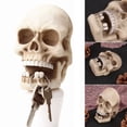 thumbnail image 2 of Halloween Skeleton Key Holder Realistic Human Skull Decor Bobbin Winder Wall Hanging Charging Cables Store Wall Hanger, 2 of 2