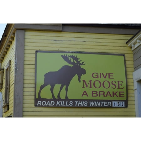Moose Warning Sign - LAMINATED POSTER Moose Road Kill Billboard Roadsign Sign Warning Poster Print 24 x 36