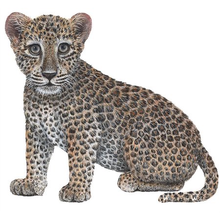 Peel And Stick Appliques - Leopard Cub Peel & Stick Applique 120515
