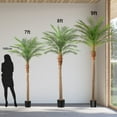 thumbnail image 4 of OLIVIVI Faux Palm Tree 9FT Tall Faux Artificial Plant for Home Office Decor Indoor Outdoor Fake Lifelike Potted Tree with Wood Branches 1 pack, 4 of 14