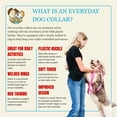 thumbnail image 4 of Country Brook Petz® Everyday Rose Nylon Dog Collar, Small, 4 of 6
