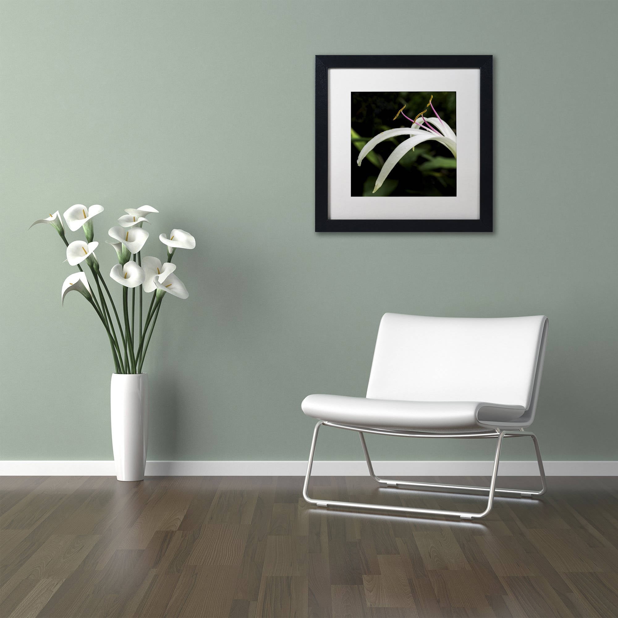 Trademark Fine Art "Graceful Lily" Canvas Art by Kurt Shaffer, White Matte, Black Frame