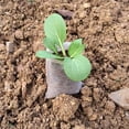 thumbnail image 2 of Bolsa De Plántulas Degradable No Tejida De 100 Uds., Bolsa De Plantación Para Flores Y Verduras Speravity HA026554-00, 2 of 7