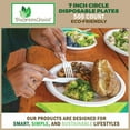 thumbnail image 6 of BioGreenChoice Eco-Friendly White 7 in. PFAS-FREE Fiber/Bagasse Disposable Plates (500 count), Heavy Duty Paper Plates- Microwave safe (7 inch), 6 of 6