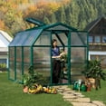 thumbnail image 3 of Palram - Canopia EcoGrow 6' x 6' Twin-Wall Walk-In Greenhouse - Green - with Roof Vent, 3 of 9