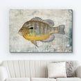 thumbnail image 2 of wall26 Framed Canvas Print Wall Art Longear Sunfish on Granite Background Marine Life Animals Digital Art Realism Nautical Scenic Colorful Ultra for Living Room, Bedroom, Office - 16"x24", 2 of 5