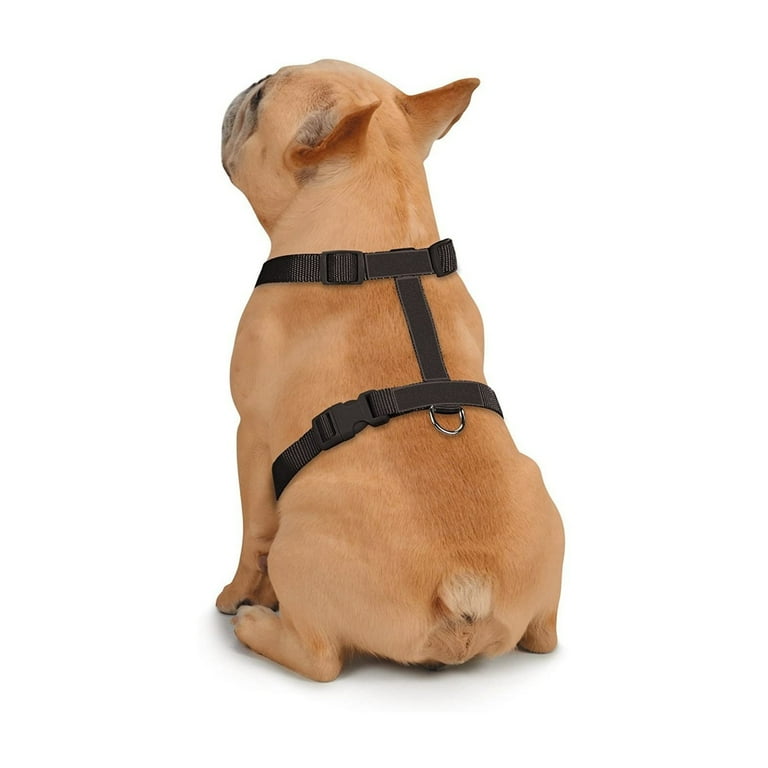 PetEdge UM6411 16 Zack Zoey Butterfly Glow Harness Costume for