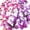 Pink Purple, variant on 60 count  Butterfly Wall Decor, Decoration Party Birthday Cake  Removable Mural Sticker, Butterflies Wall Art   Living Room Bathroom Bedroom Office Decorative (Colorful)