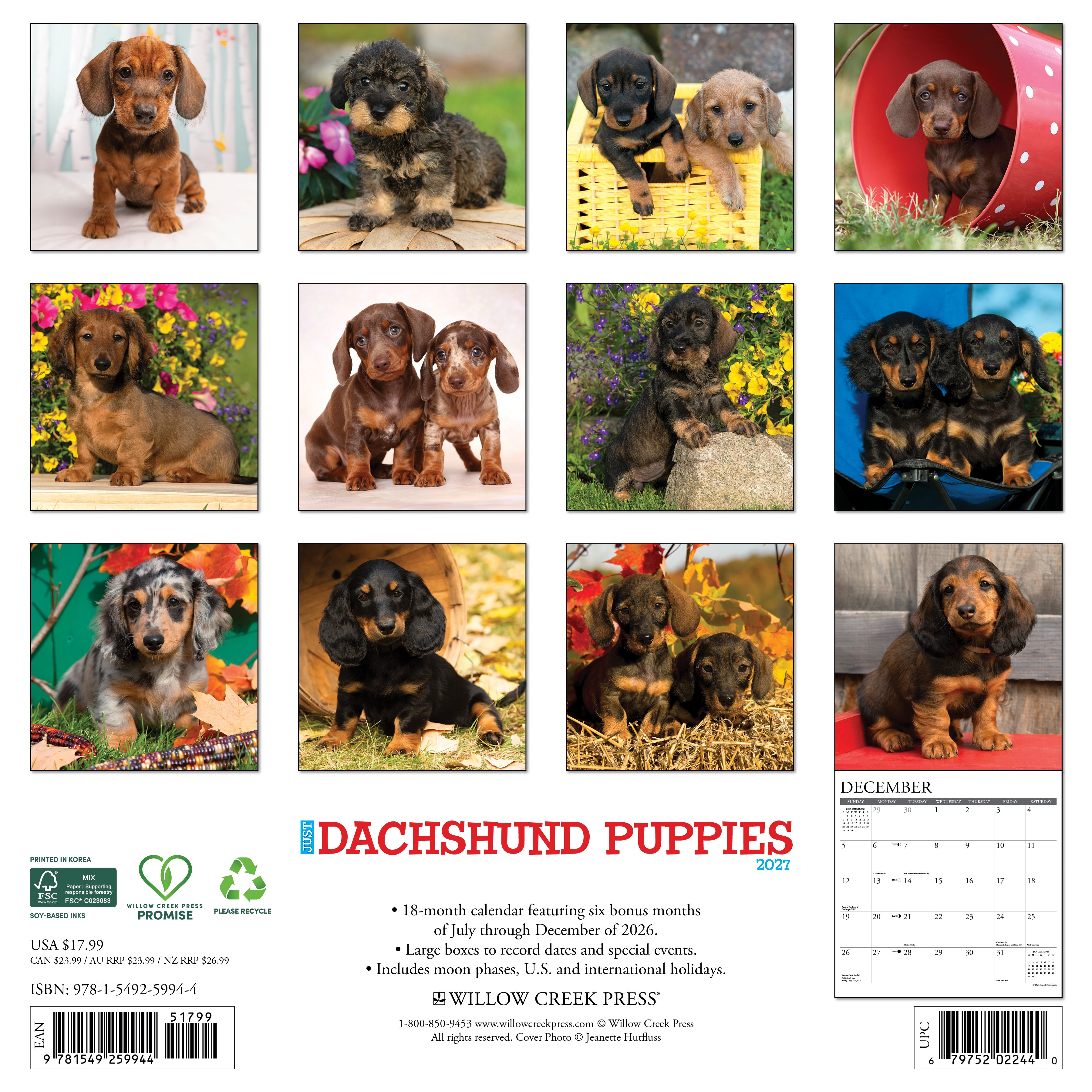 Willow Creek Press, Dachshund Puppies 2027 Wall Calendar