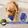 thumbnail image 3 of Squeaky Dog Toys for Aggressive Chewers, 100% Natural Rubber, 3 of 6