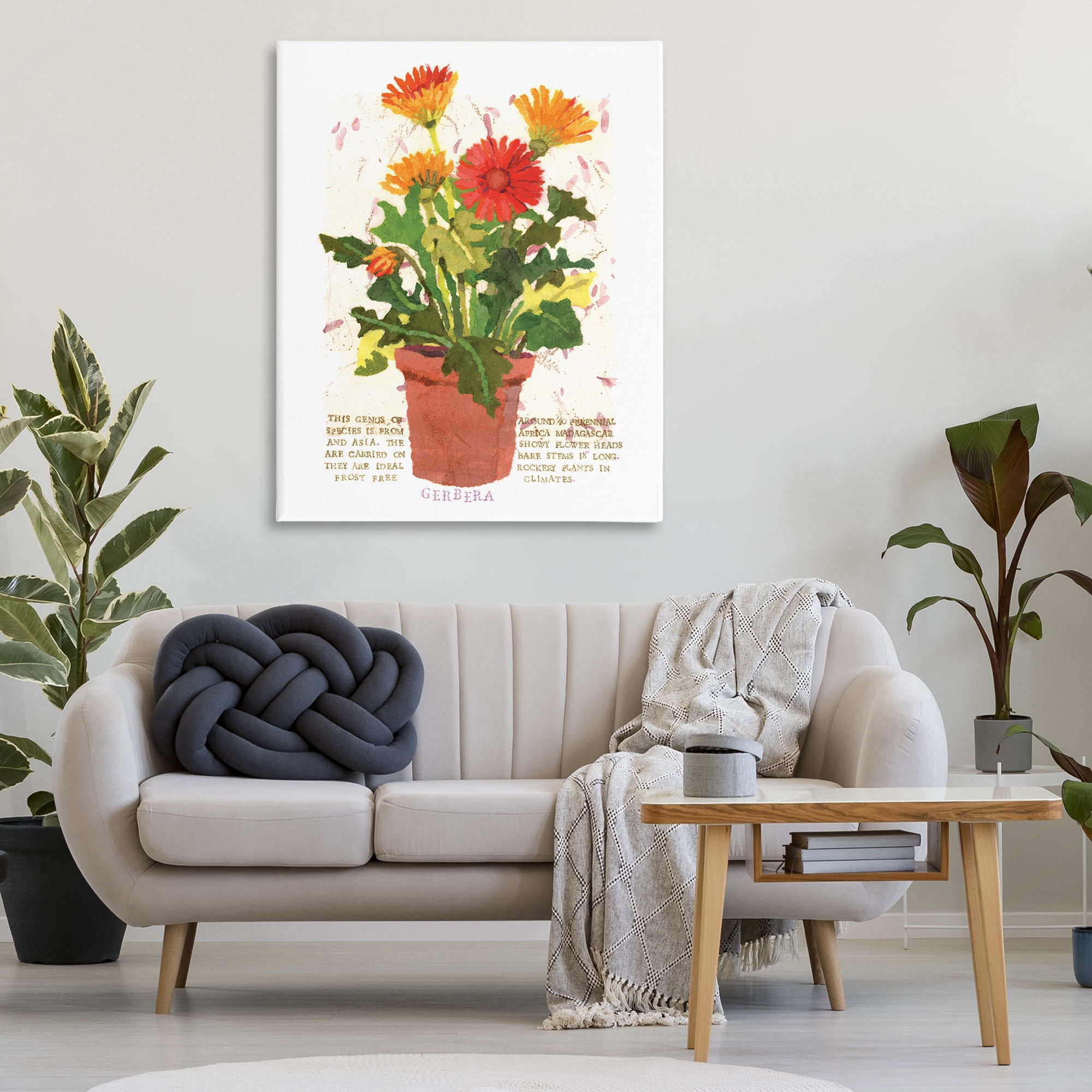 Stupell Industries Potted Gerbera Daisies Botanical & Floral Painting Gallery Wrapped Canvas Art Print Wall Art, 36 x 48