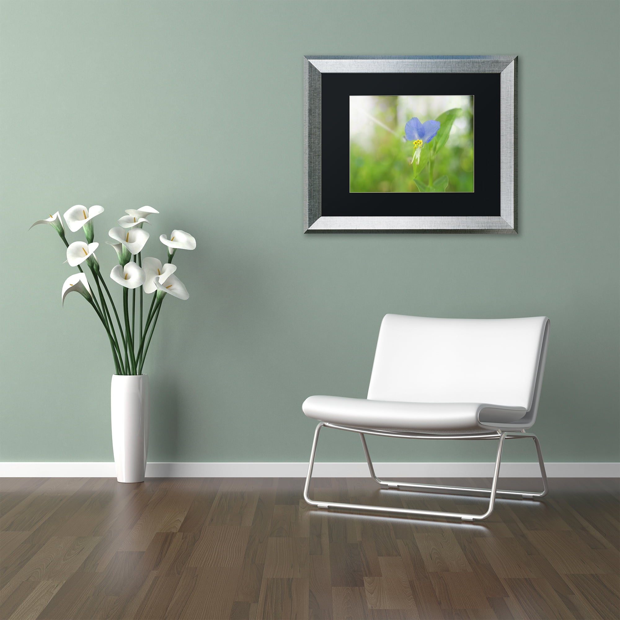 Trademark Fine Art 'Asiatic Dayflower' Silver Framed Art by PIPA Fine Art