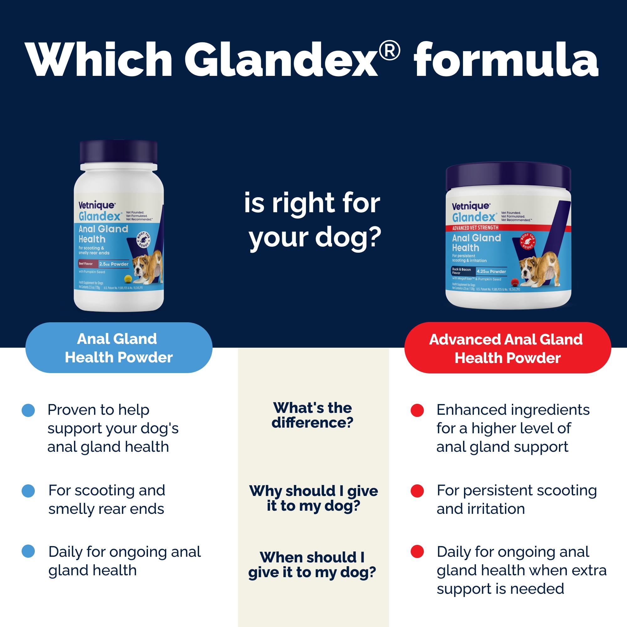 Vetnique Glandex for Dogs Anal Gland & Digestive Support Powder, Beef Flavor, 4 oz