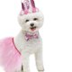 thumbnail image 4 of 1 Juego de falda para perro de cumpleaños para mascotas, accesorios para mascotas, suministros para mascotas, 4 of 6