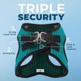 thumbnail image 2 of Best Pet Supplies - All Weather Mesh, Reflective, No Pull Harness for Small, Medium Dogs, Cats - Secure with Hook & Loop Fastener, Buckle, Double D-Rings - Turquoise 2-Tone, L, 2 of 3