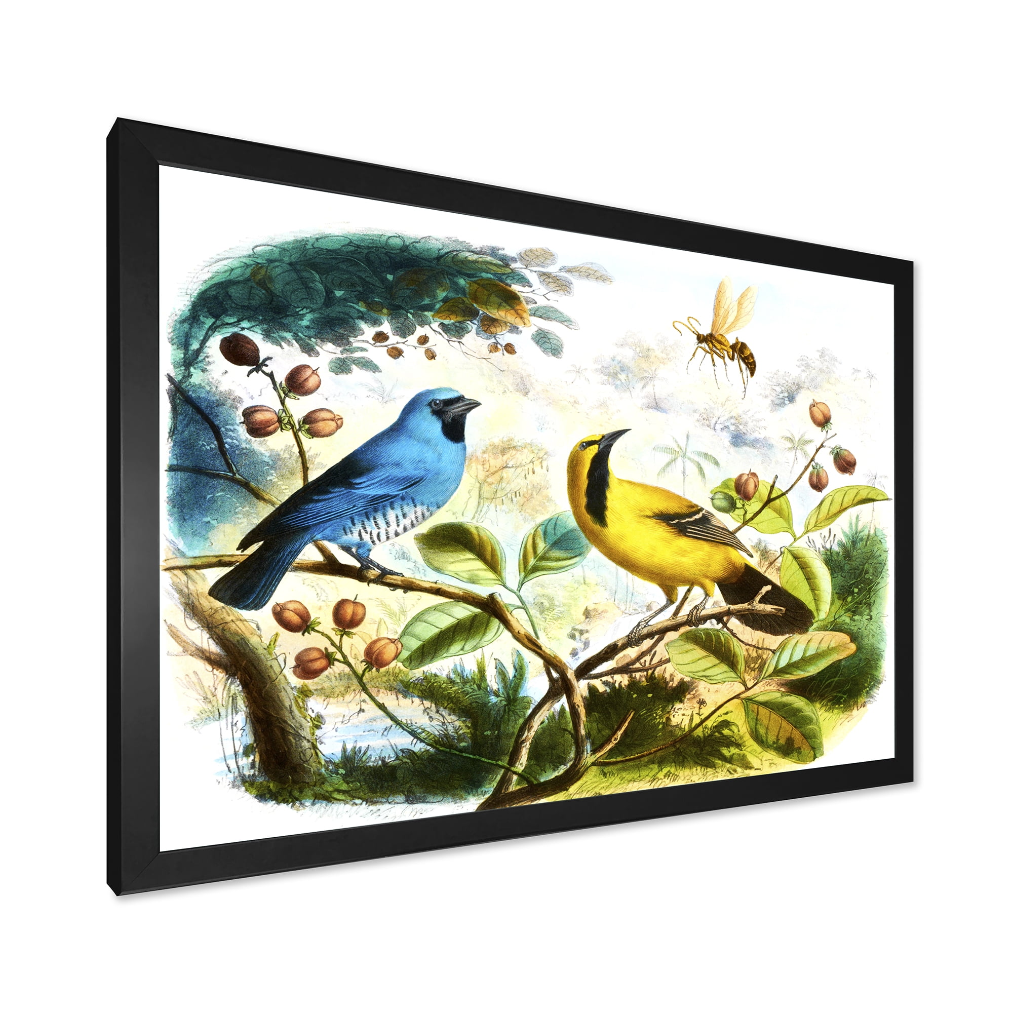 Designart 'Yellow and Blue Bird In The Wild' Traditional Framed Art Print
