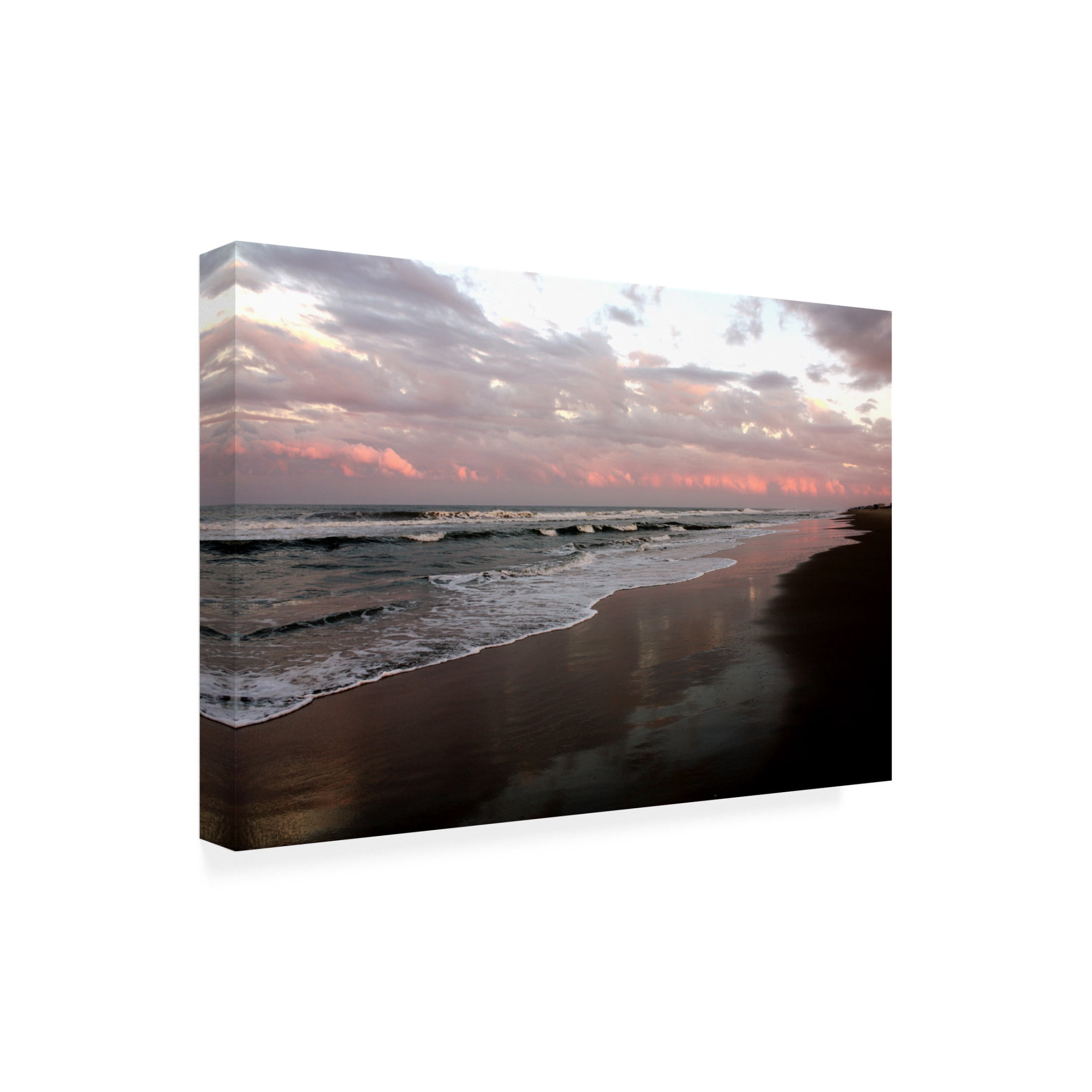 Canvas Wall Art - DANE 'Beaches 34' Wall Art for Living Room, Bedroom, or Office Décor by Trademark Fine Art - 47 x 30 Inches