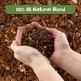 thumbnail image 3 of Cactus and Succulent Potting Mix (8 Quarts) Special Blend-Fast Draining and Desert-Style Gritty, 3 of 3