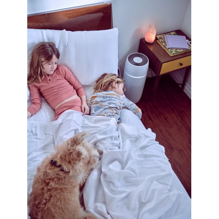 Homedics - PetPlus True Hepa Air Purifier for Large Rooms - White