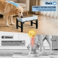 thumbnail image 4 of Euqvunn Elevated Dog Bowls, Raised Dogs Bowl Stand for Medium Large Dog, 6 Heights Adjustable 3.1", 8.7", 9.4", 10.2", 11", 11.8", Dog Feeder with 2 Stainless Steel Dishes &1 Slow Feeder Bowl, 4 of 13