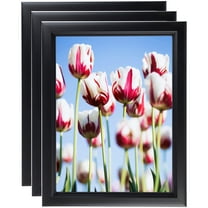 ArtToFrames 16" x 16" Satin Black Double Step Lip Picture Frame, 16x16 inch Black Wood Poster Frame (WOM-1418), 3 Pack