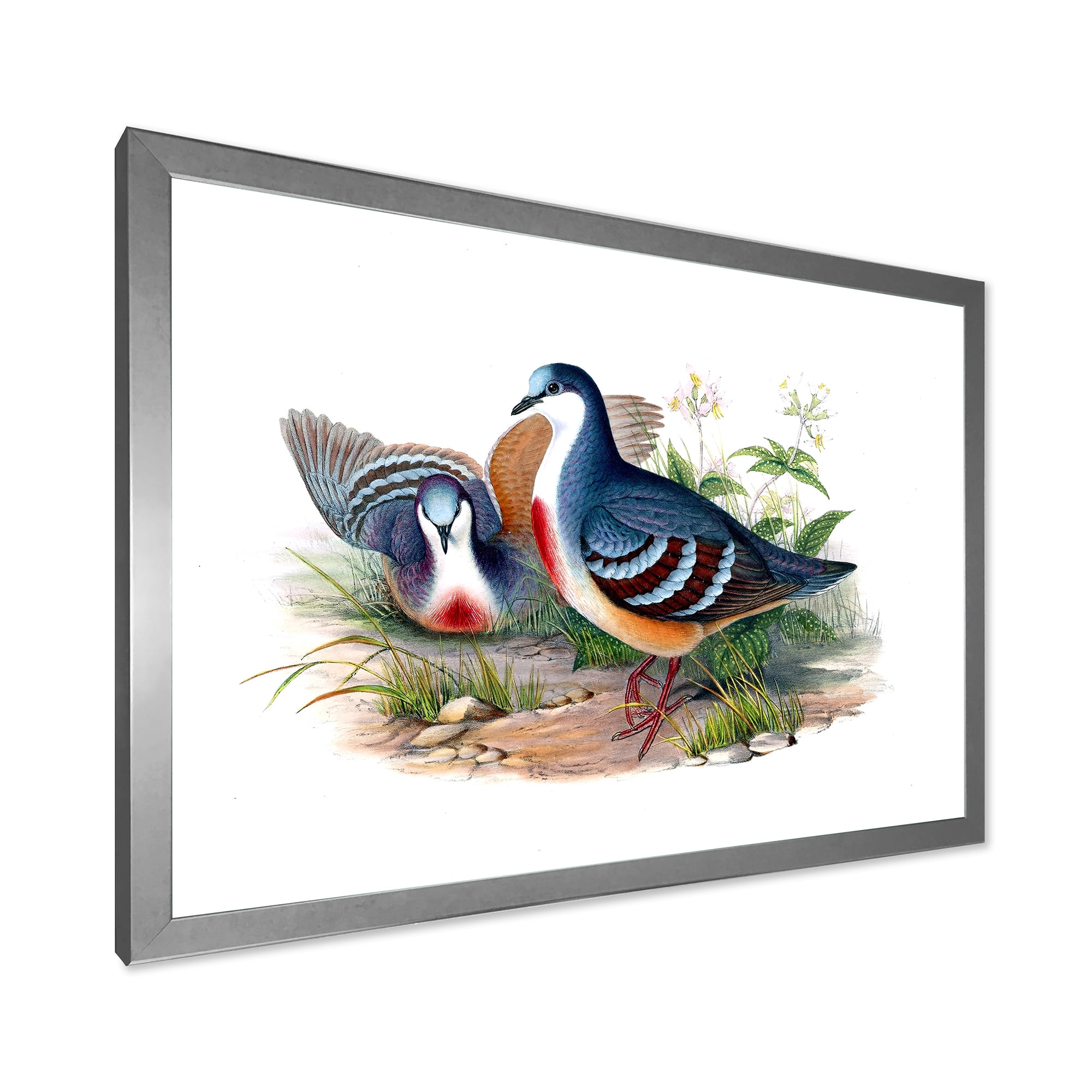 Designart 'Ancient Birds In The Wild IV' Traditional Framed Art Print