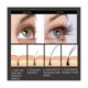 thumbnail image 2 of Pestañas negras para rizar pestañas, cejas, líquido para pestañas natural y hermoso, blanco, 2 of 5