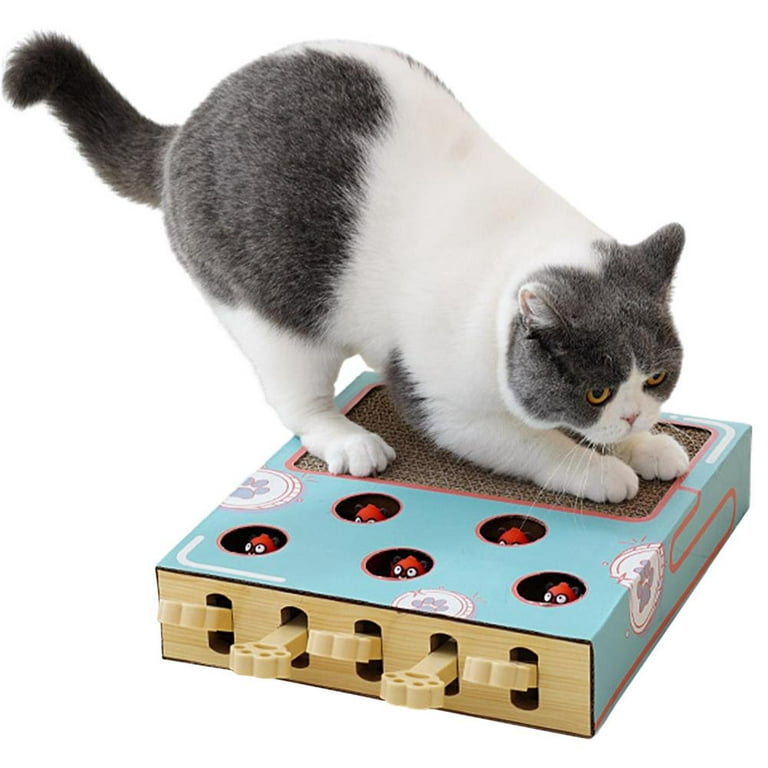 Cat Enrichment Toys for Indoor Cats, Whack a mole cat Toy with cat  Scratching pad, Cat Cardboard Box to Make Lots of Fun, cat Interactive Toy  to Relieve Boredom and Train IQ.