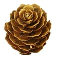 thumbnail image 3 of Decoración de adorno colgante de pistacho de con conos secos naturales Cono de pino dorado brillante Cola Decoración de cono de pino, 3 of 6