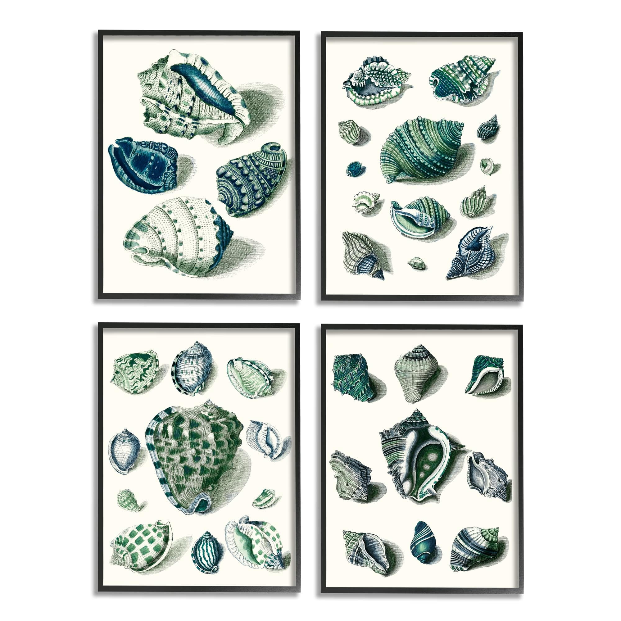 Stupell Industries Nautical Spiral Conch Shell Collage Blue Green Gray Framed by Vision Studio