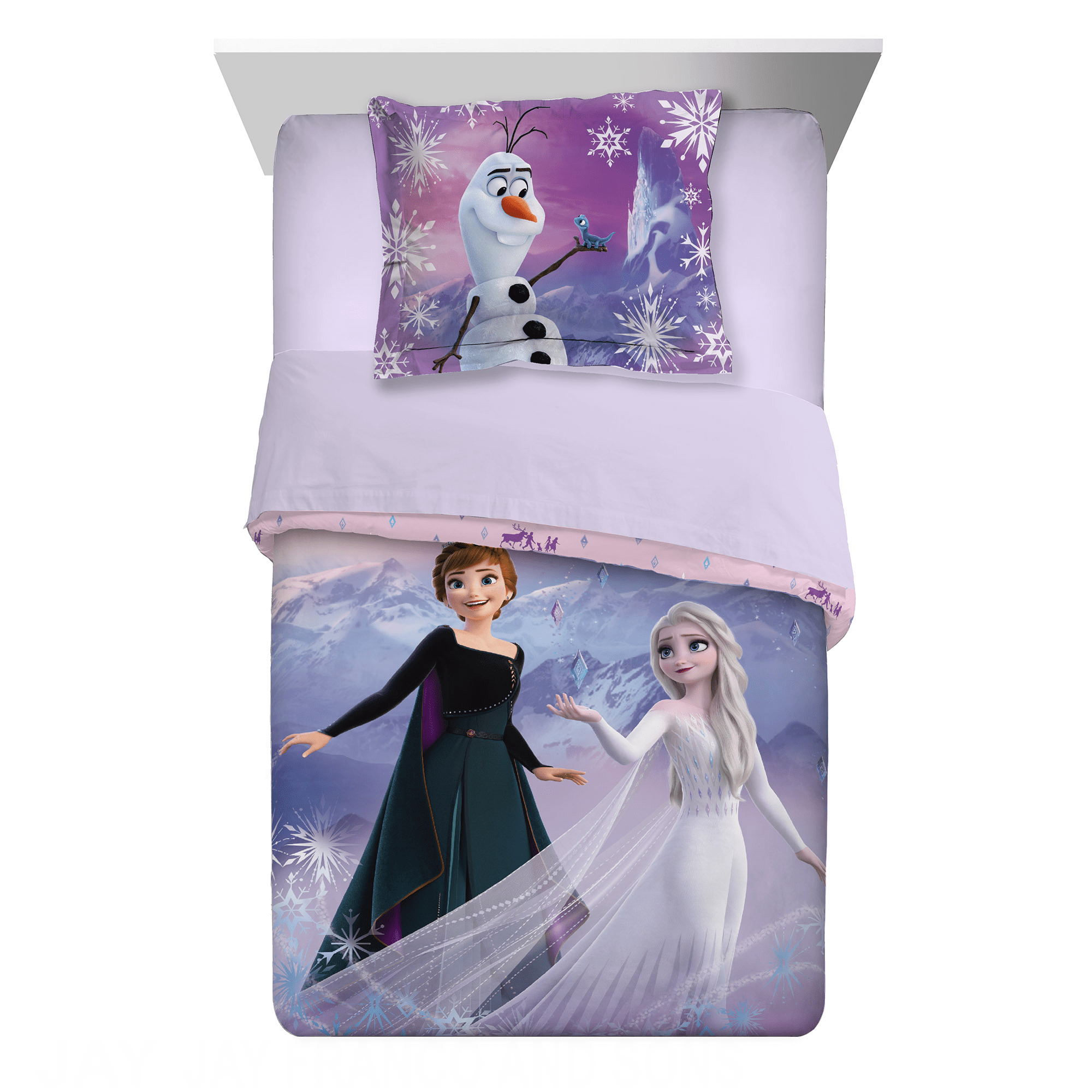 Disney Frozen Twin Comforter Pink Purple Elsa Anna 