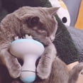 thumbnail image 5 of Masajeador de cabeza de gato, cabezal de cepillo de silicona suave, masaje suave, carga USB, masajeador eléctrico para mascotas Xemadio MZQ-0180, 5 of 5