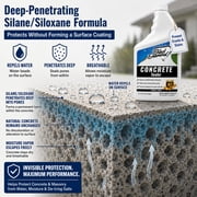Black Diamond Stoneworks Concrete Sealer – Penetrating Water Repellent Sealer for Driveways, Patios, Pavers, Brick, Grout & Masonry – Indoor & Outdoor Protection (32oz)
