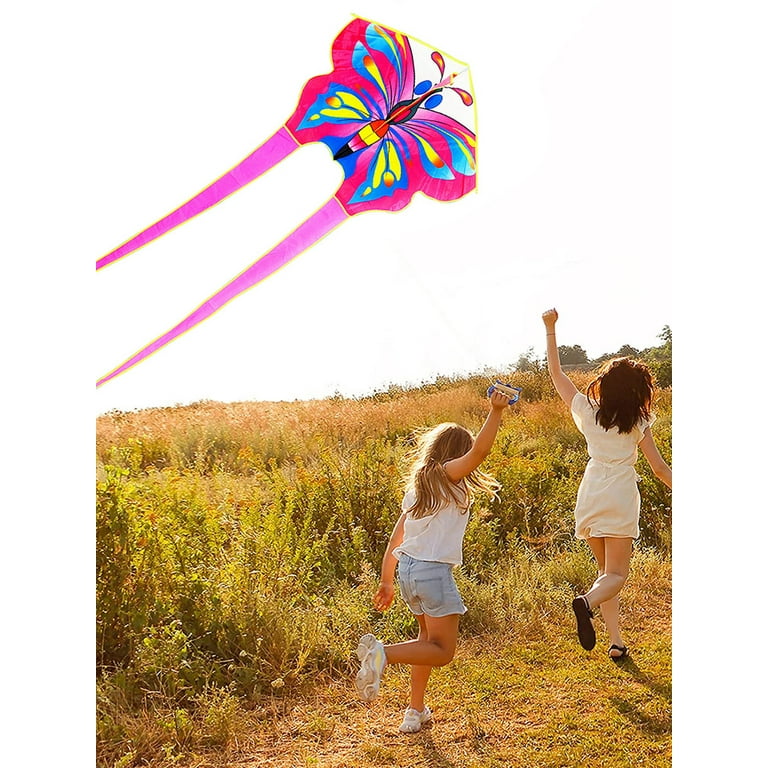 Butterfly Huge Kite Easy To Fly Butterfly Kite With Holding Fishing Rod For  Kids And Adults For Beach Trip Park Family Outdoor - AliExpress