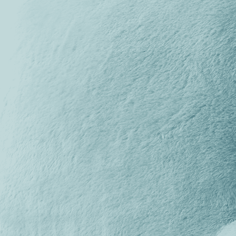 Aqua