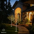 thumbnail image 3 of LIGHTSHARE 6 Feet 72L LED Birch Tree Lights, Pack of 2, Warm White, for Holiday Party and Christmas Decoration, Indoor and Outdoor Use, 3 of 5