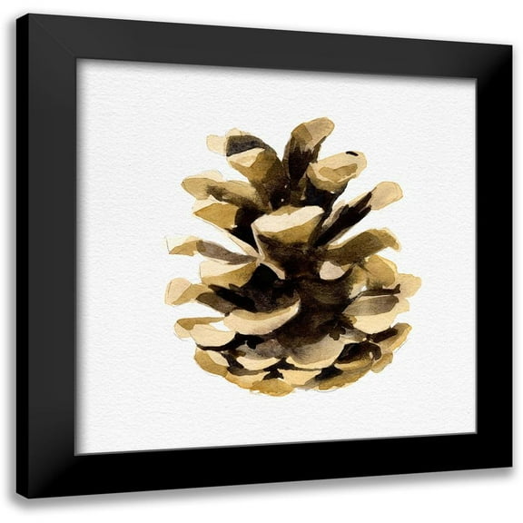 Caroline, Emma 12x12 Black Modern Framed Museum Art Print Titled - Conifer Cone II