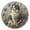 Fluffy Cat Sitting in Wildflowers, variant on Dailycode Round Wall Clock Battery Operated Silent Non-Ticking Hanging Clock 10" Cartoon Skeleton Dancing with Star