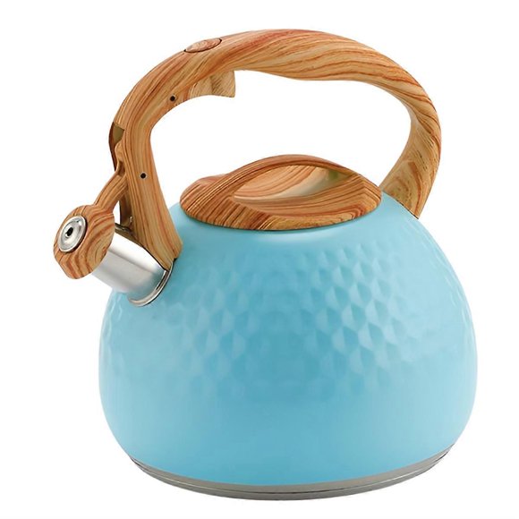 Kettle Whistling Kettle 3L Kettle Lid with Handle Induction Cooker Gas Stove Kettle C