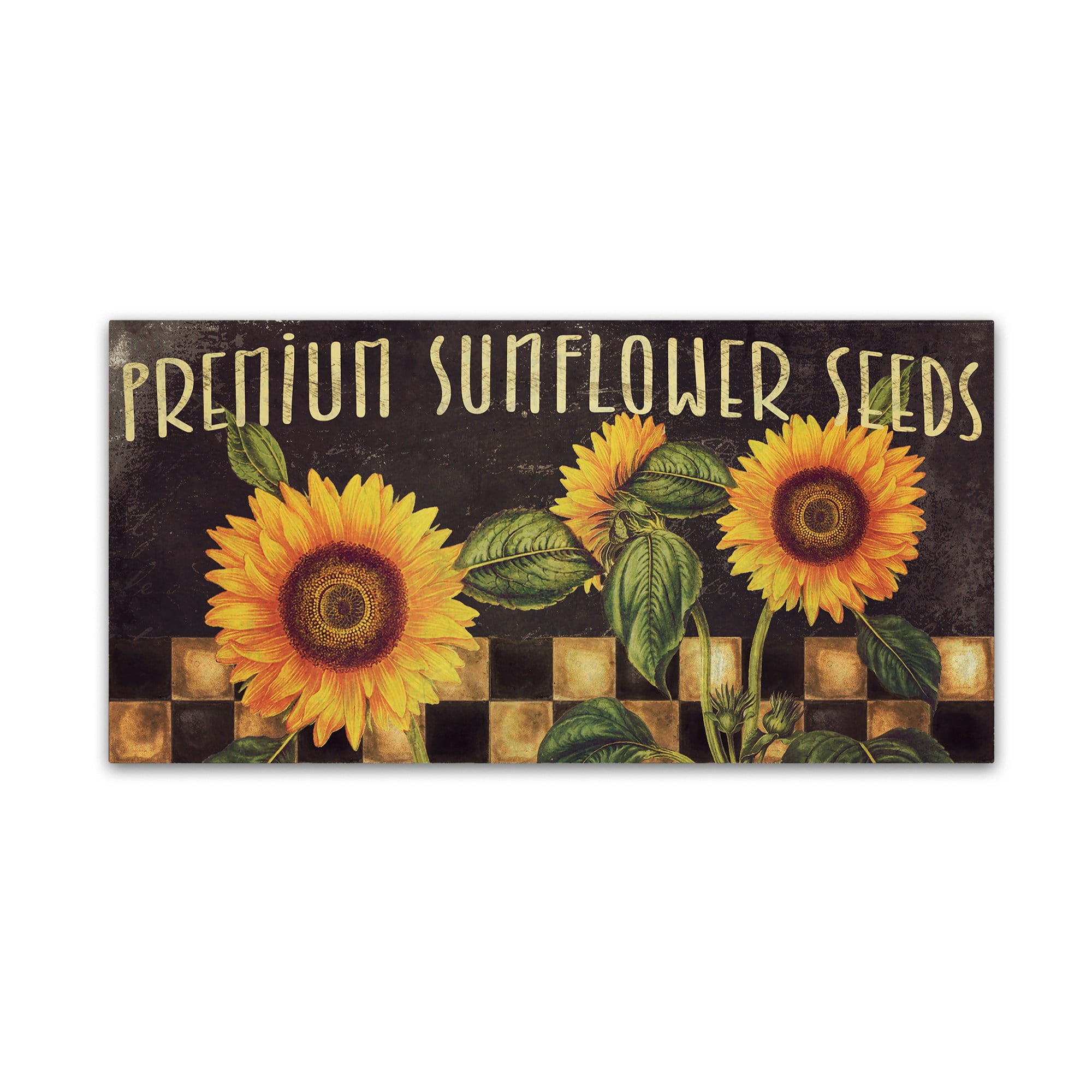 Trademark Fine Art "Sunflowers" Canvas Art by Color Bakery