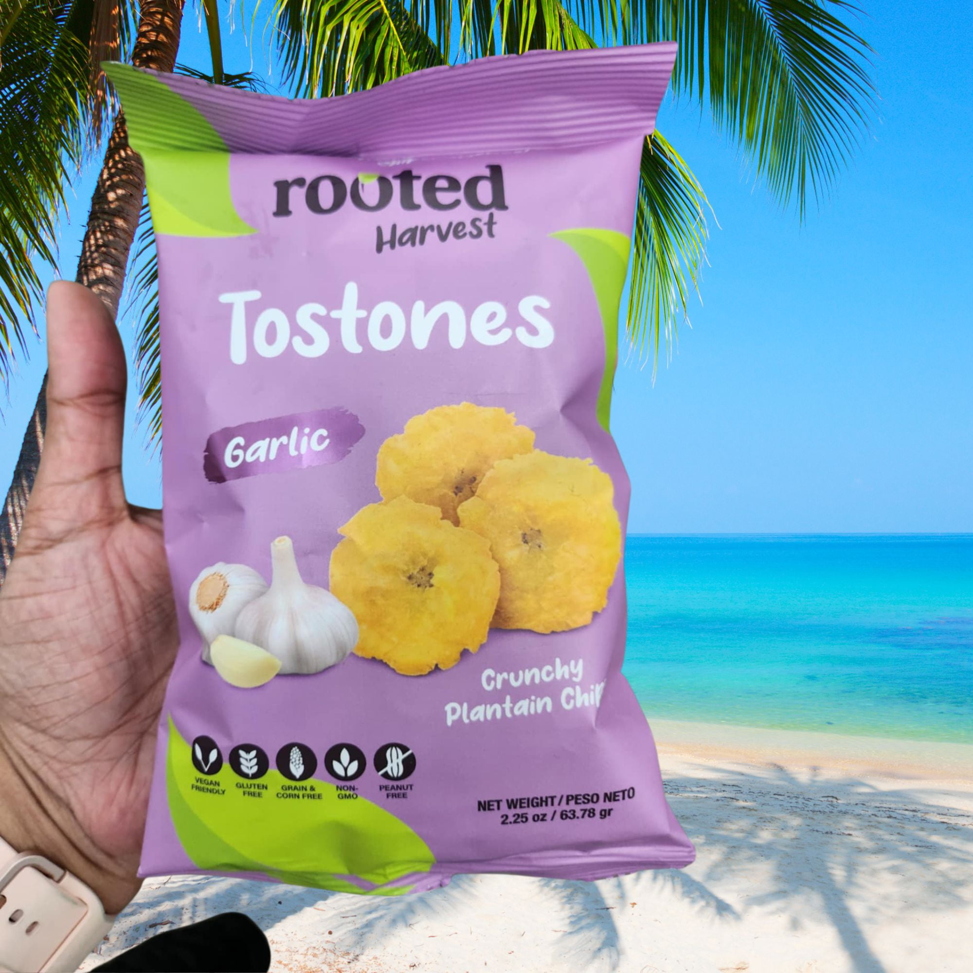 Rooted Harvest Tostones Garlic Crunchy Plantain Chips 2.25 Oz 3 Pack, Vegan Friendly Gluten Free Non-GMO Snacks, School Lunchbox Picnic On the Go Snacking Party w/ Snoep in Beperkte Oplage